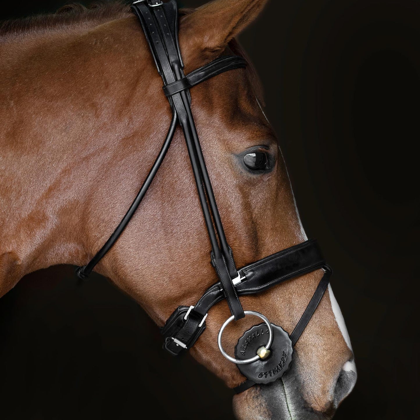 Acavallo® Bit Guard Soft Gel