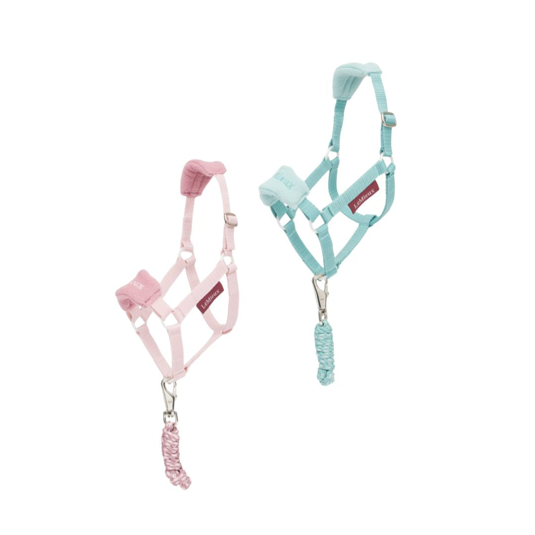 Lemieux Hobby Horse Vogue Headcollar SS25
