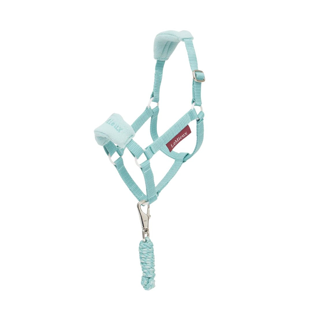 Lemieux Hobby Horse Vogue Headcollar SS25