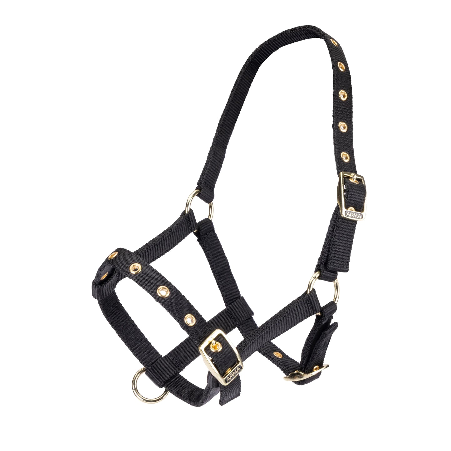 Shires Arma Foal Head Collar