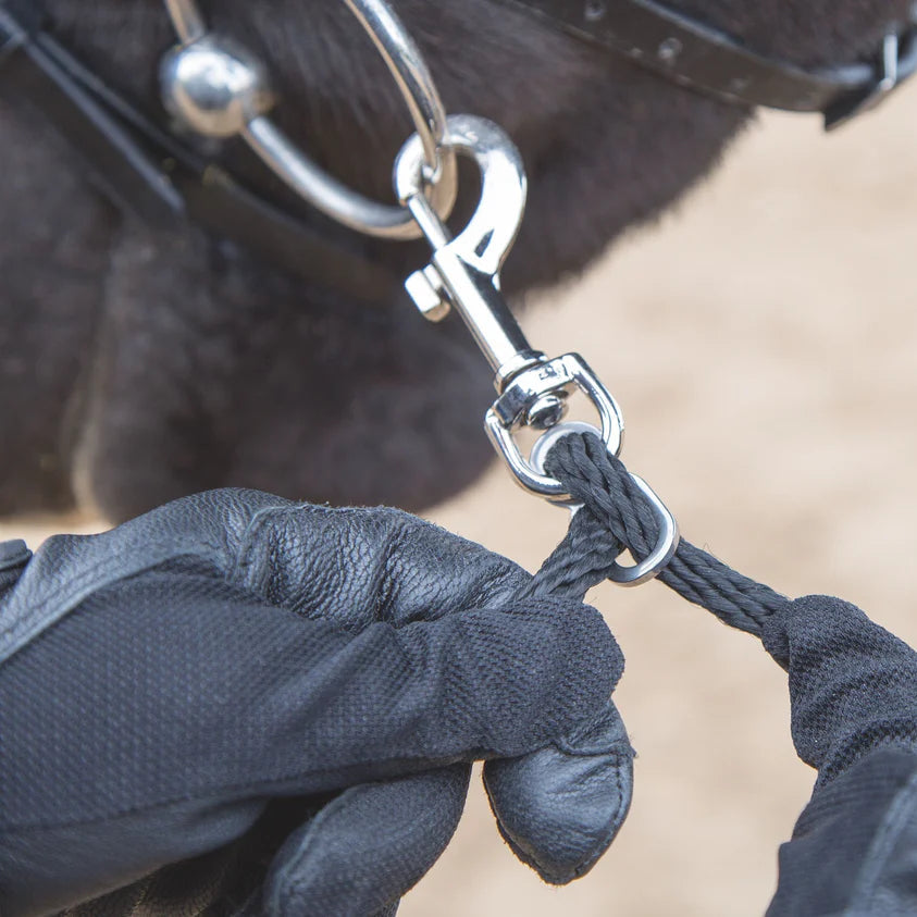 Shires Soft Lunging Aid