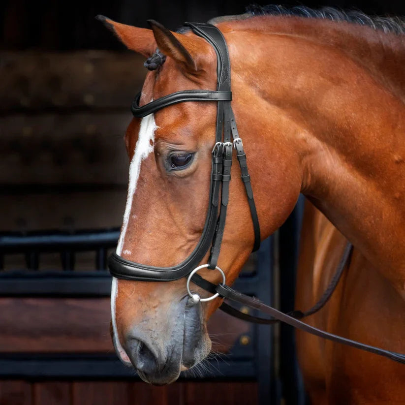Shires Velociti Ergonomic Cavesson Bridle