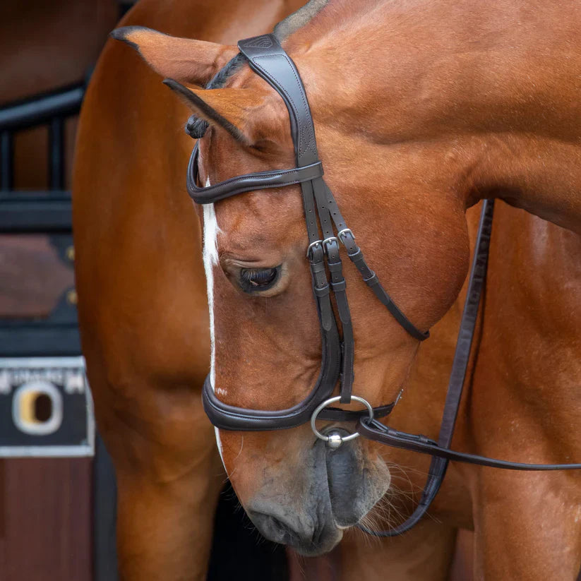 Shires Velociti Ergonomic Cavesson Bridle