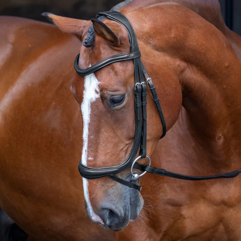 Shires Velociti Ergonomic Curved Flash Bridle