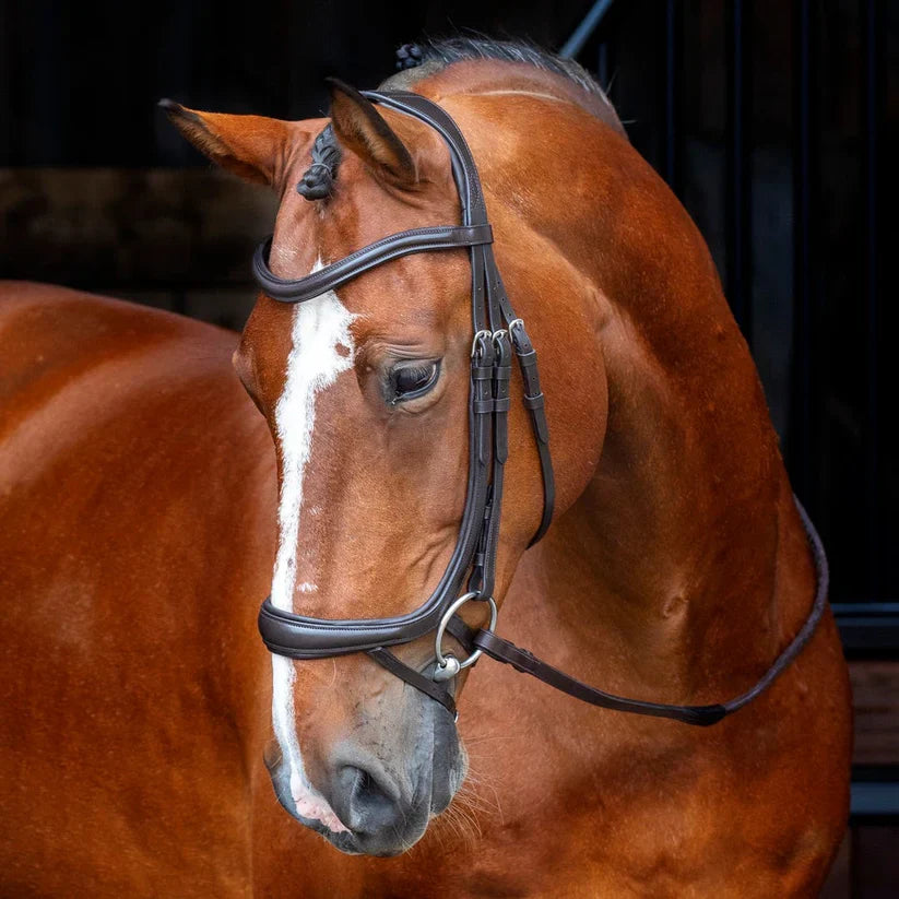 Shires Velociti Ergonomic Curved Flash Bridle