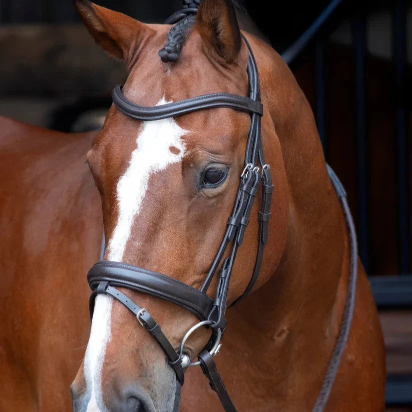 Shires Velociti Dressage Bridle With Flash