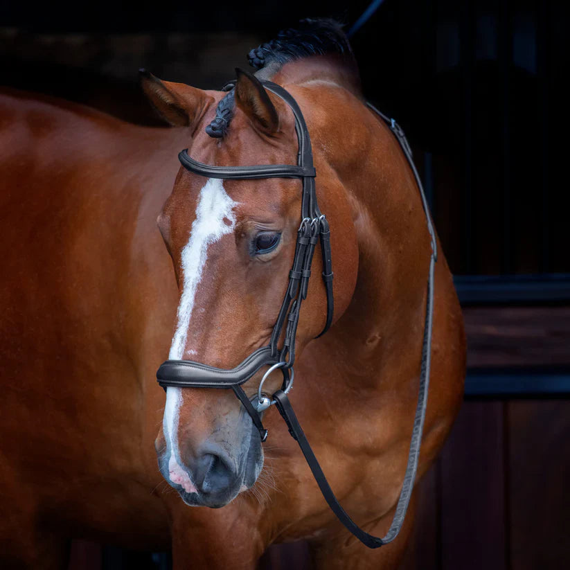 Shires Velociti Ergonomic Flash Bridle