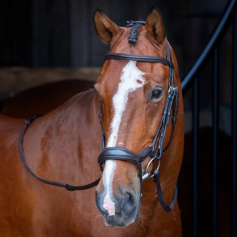 Shires Velociti Ergonomic Flash Bridle
