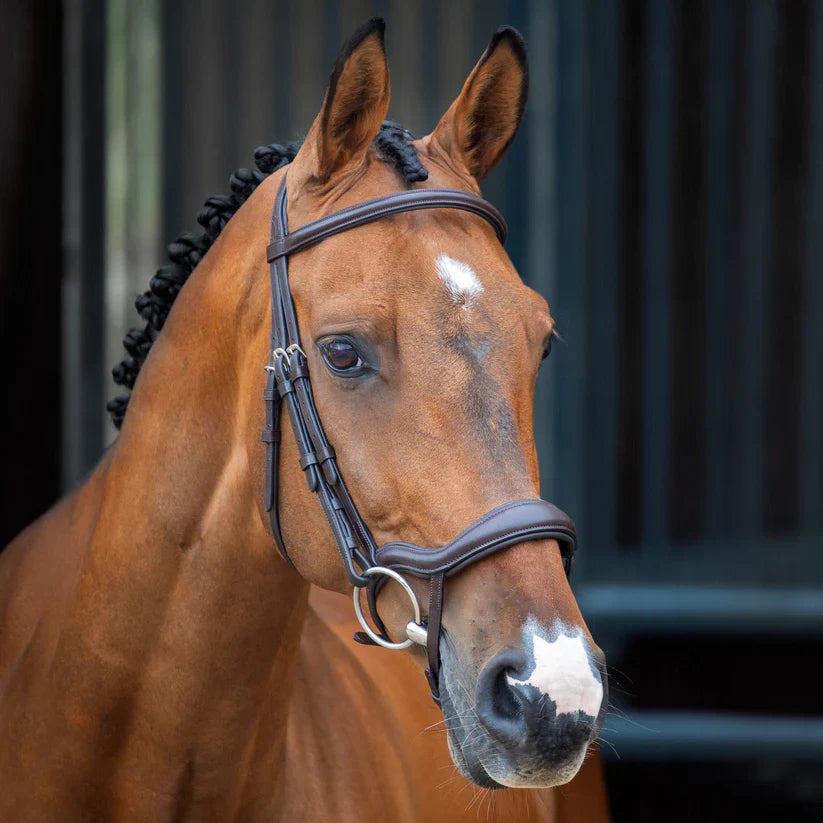 Shires Velociti Lusso Ergonomic Flash Bridle