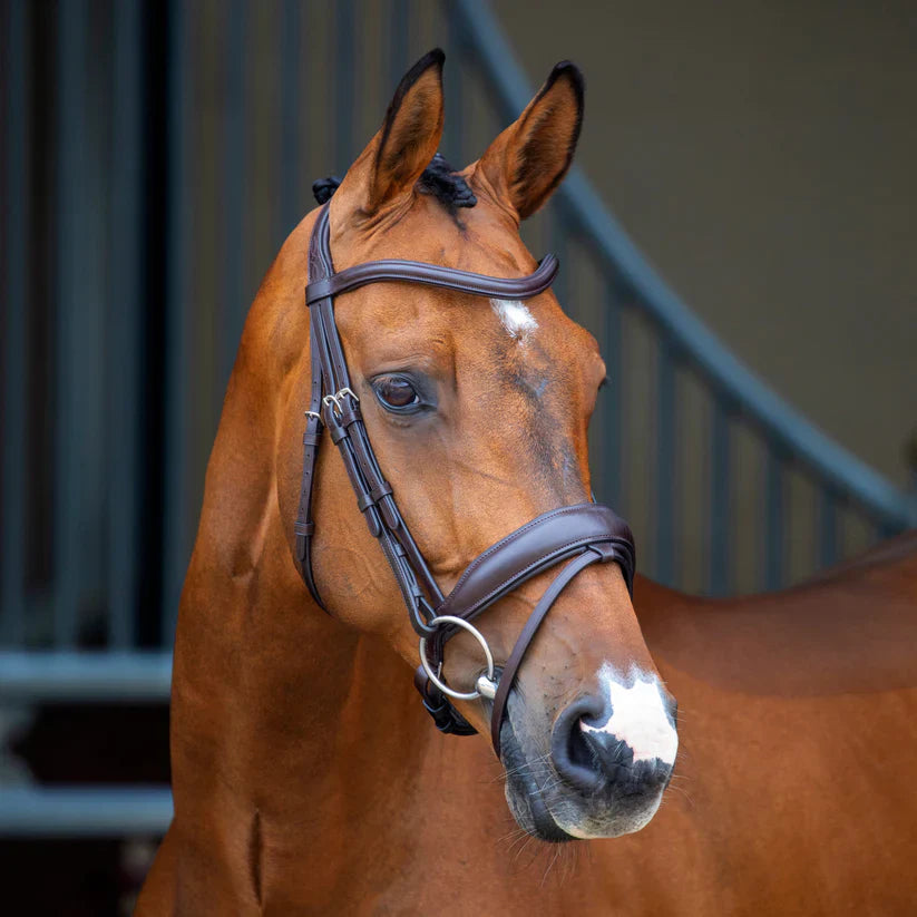 Shires Velociti Lusso Dressage Flash Bridle