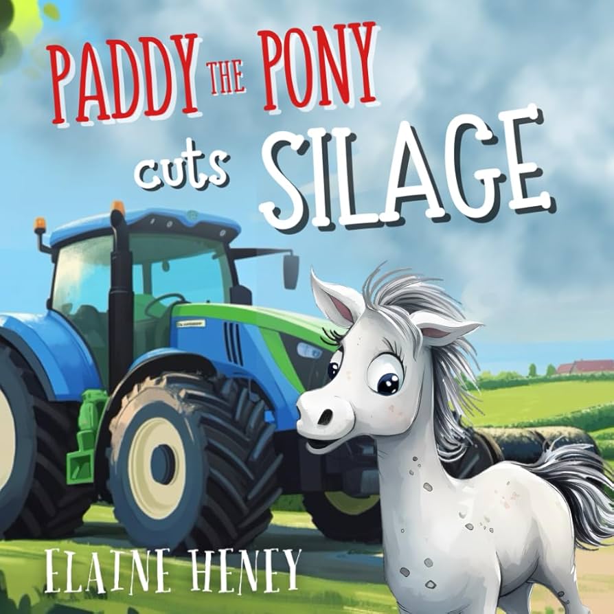 Paddy The Pony Elaine Heney Book Series