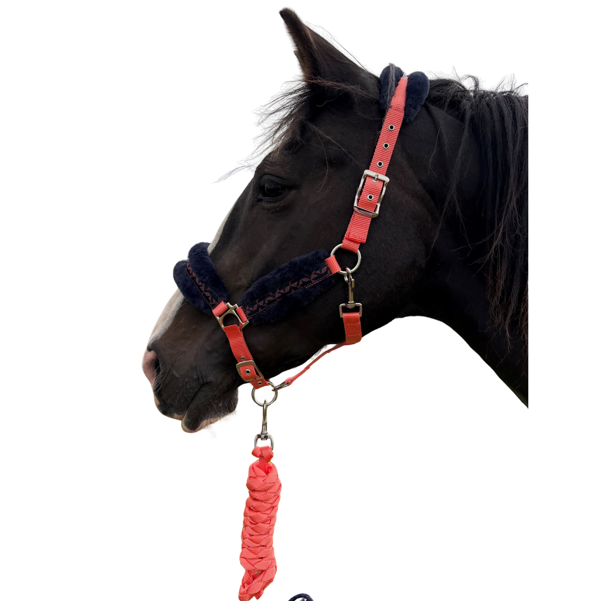 Luxury Headcollar & Leadrope Set