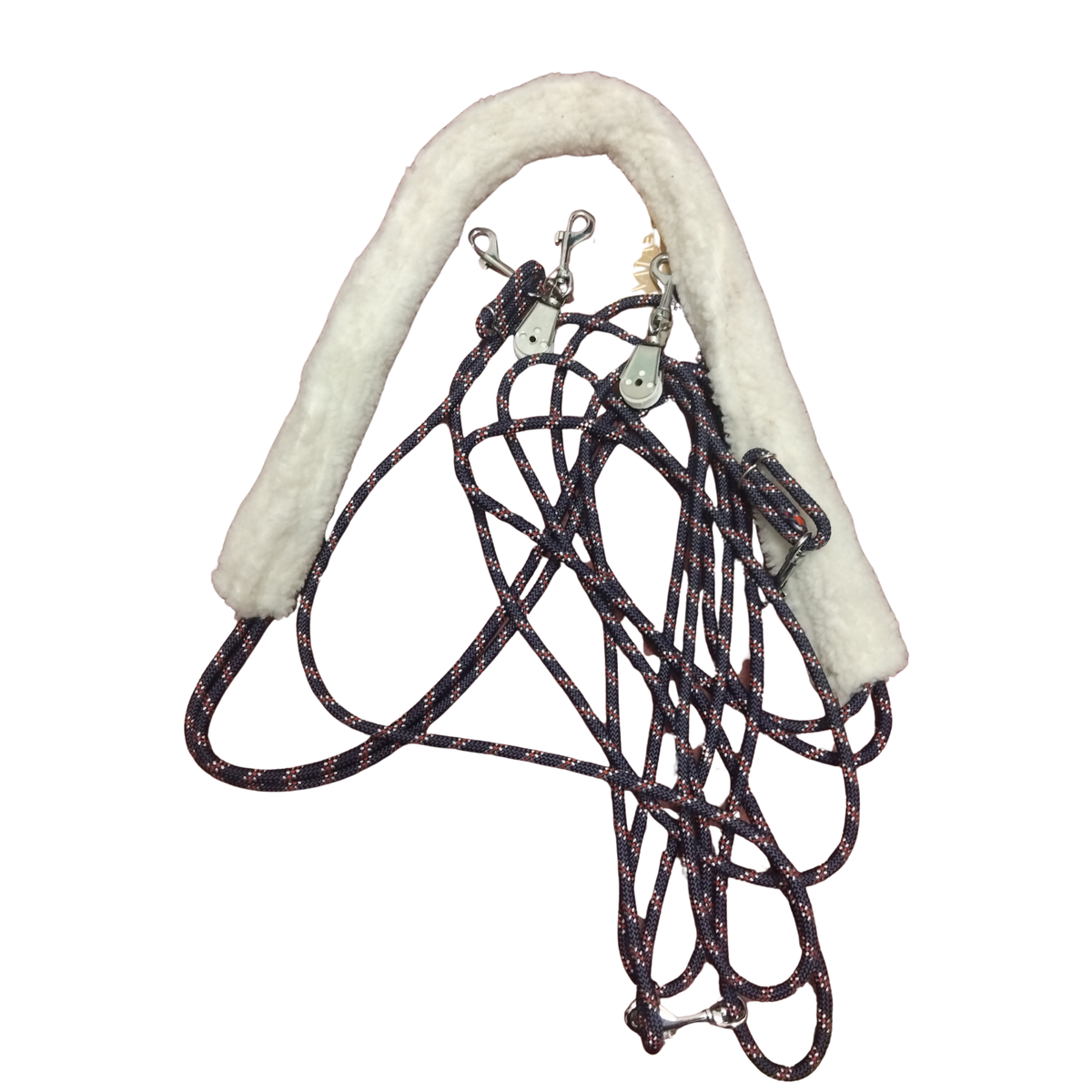 Stationata Lunging Training Aid