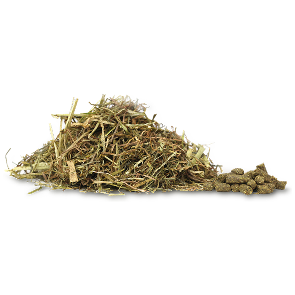 Hartog Senior Horse Feed