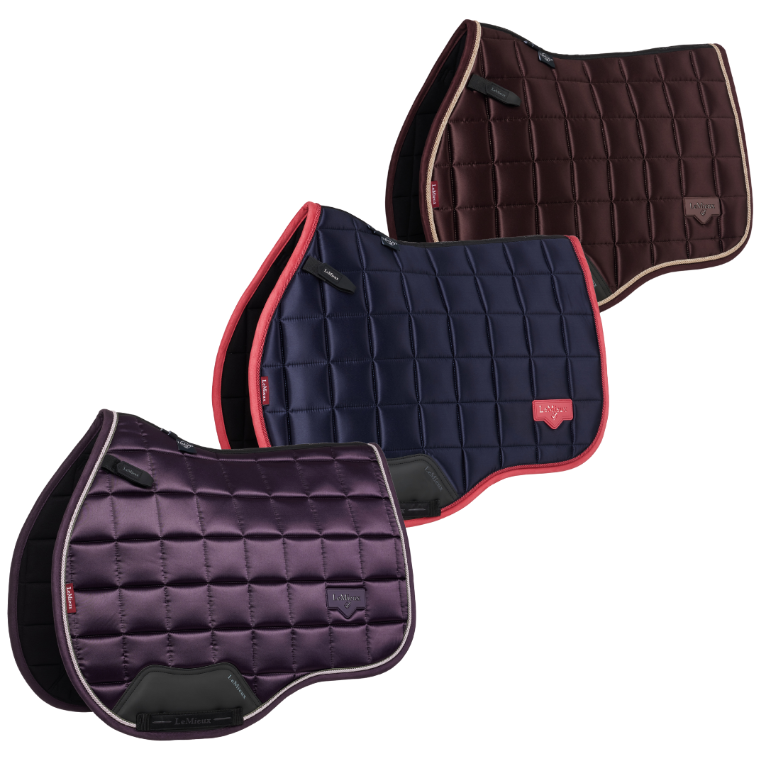 LeMieux Classic Loire GP Pad AW25