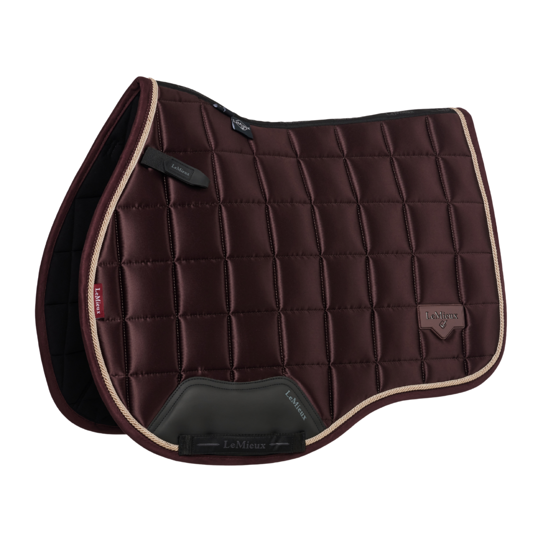 LeMieux Classic Loire GP Pad AW25