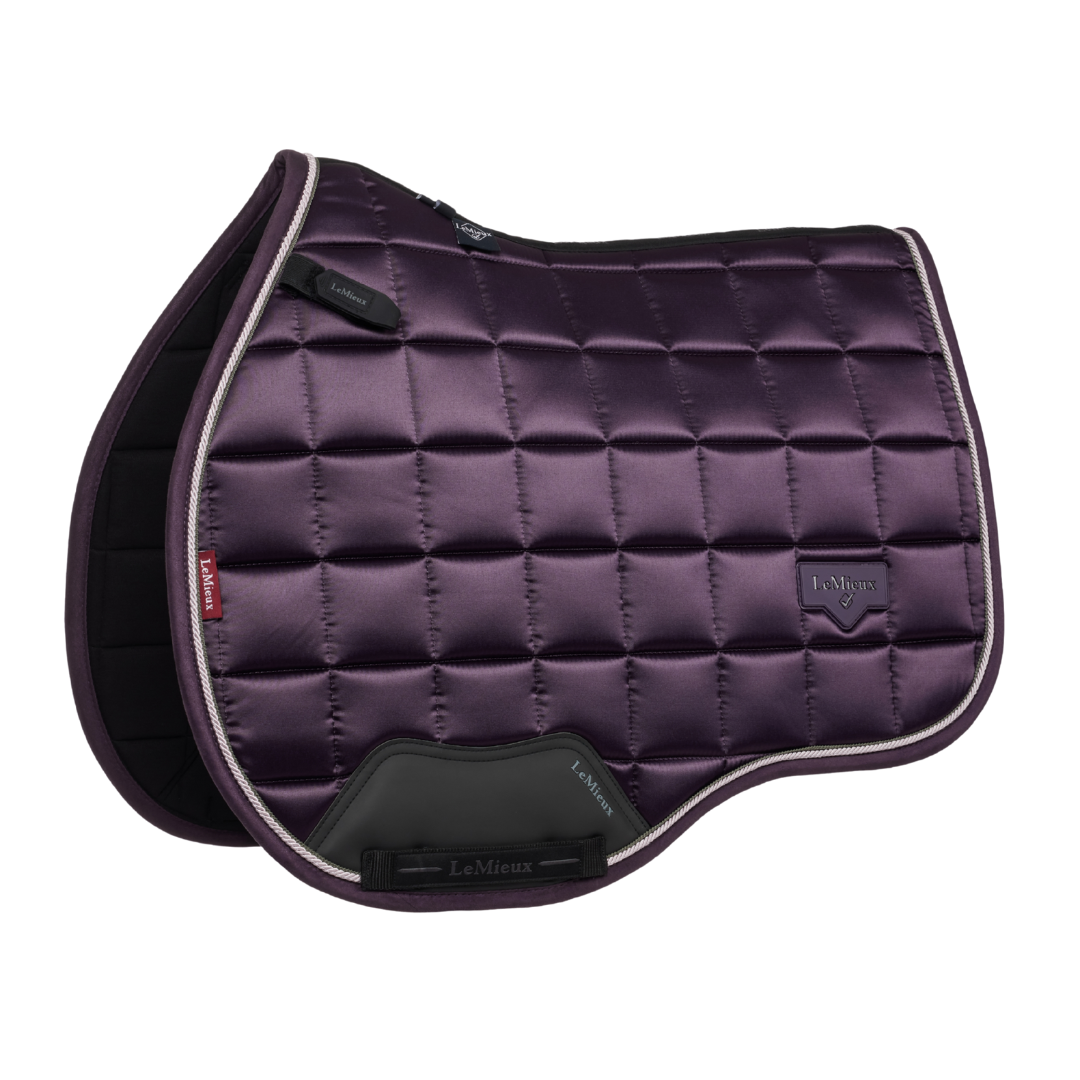 LeMieux Classic Loire GP Pad AW25