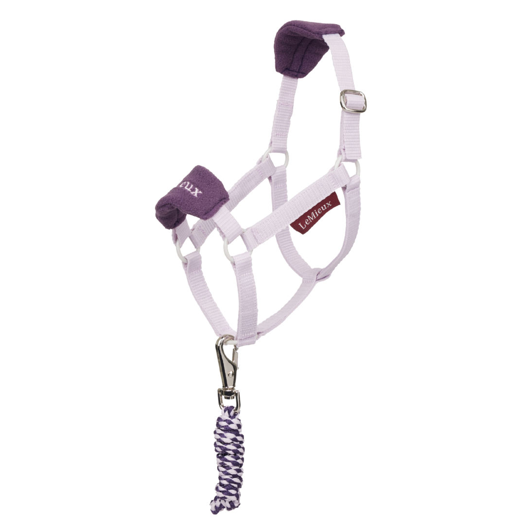Lemieux Hobby Horse Vogue Headcollar AW25
