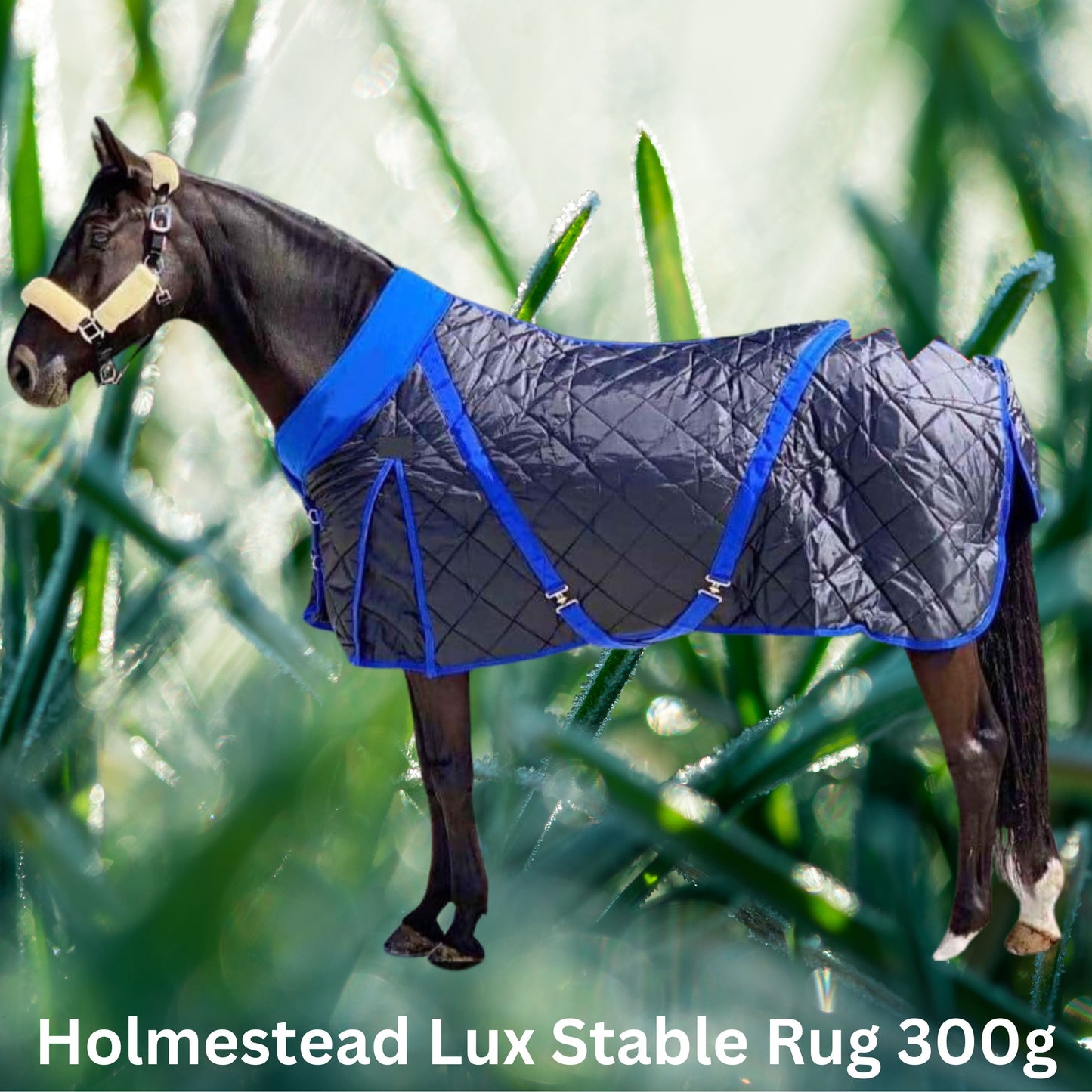 Holmestead Lux Stable Rug 350g