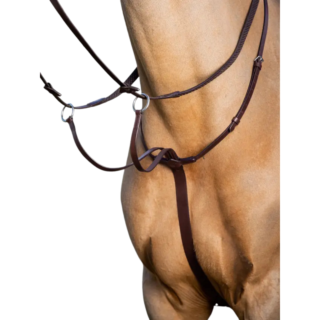 Arika Running Martingale