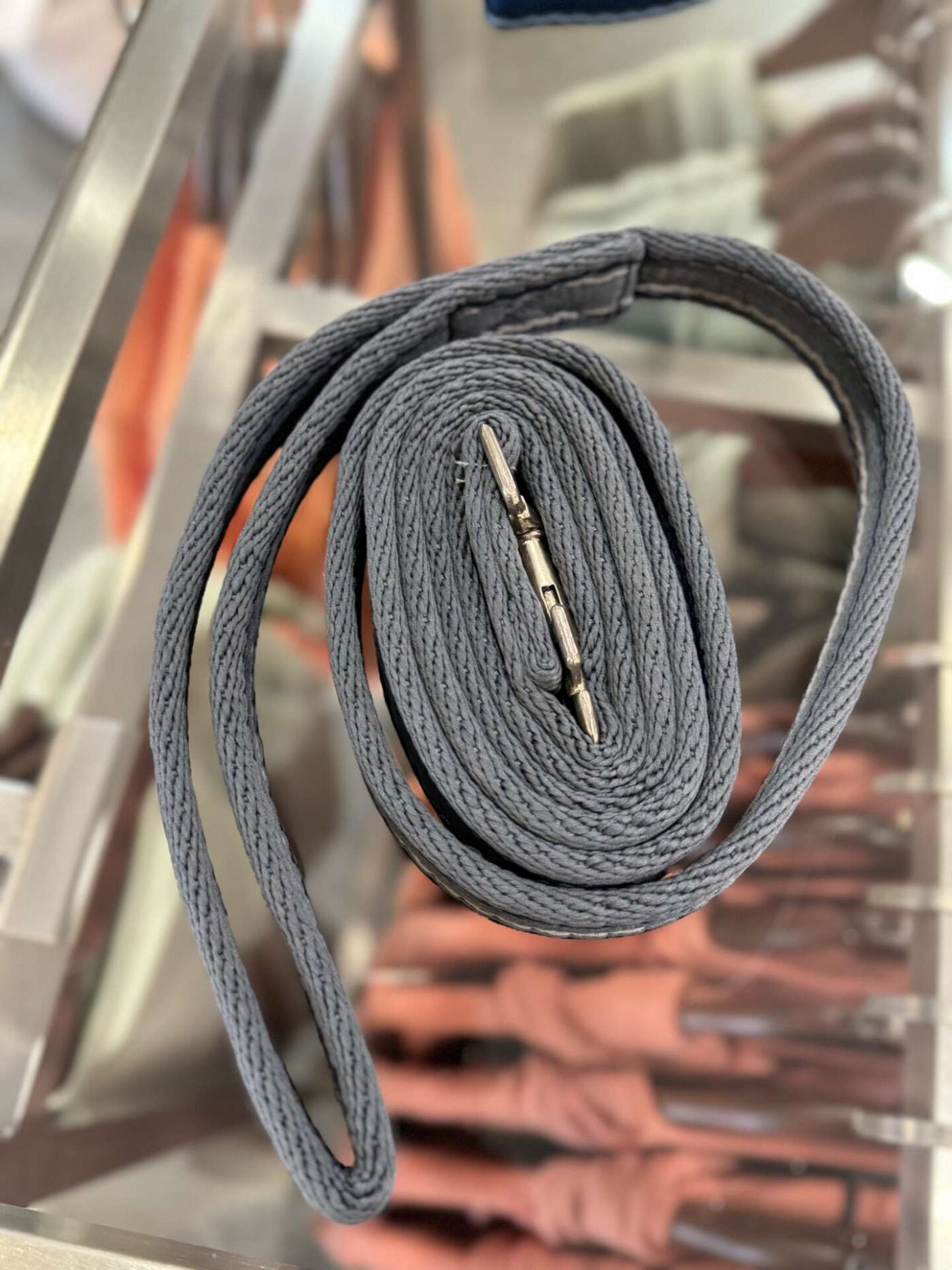 Holmestead Cushioned web padded Leadrope 2m