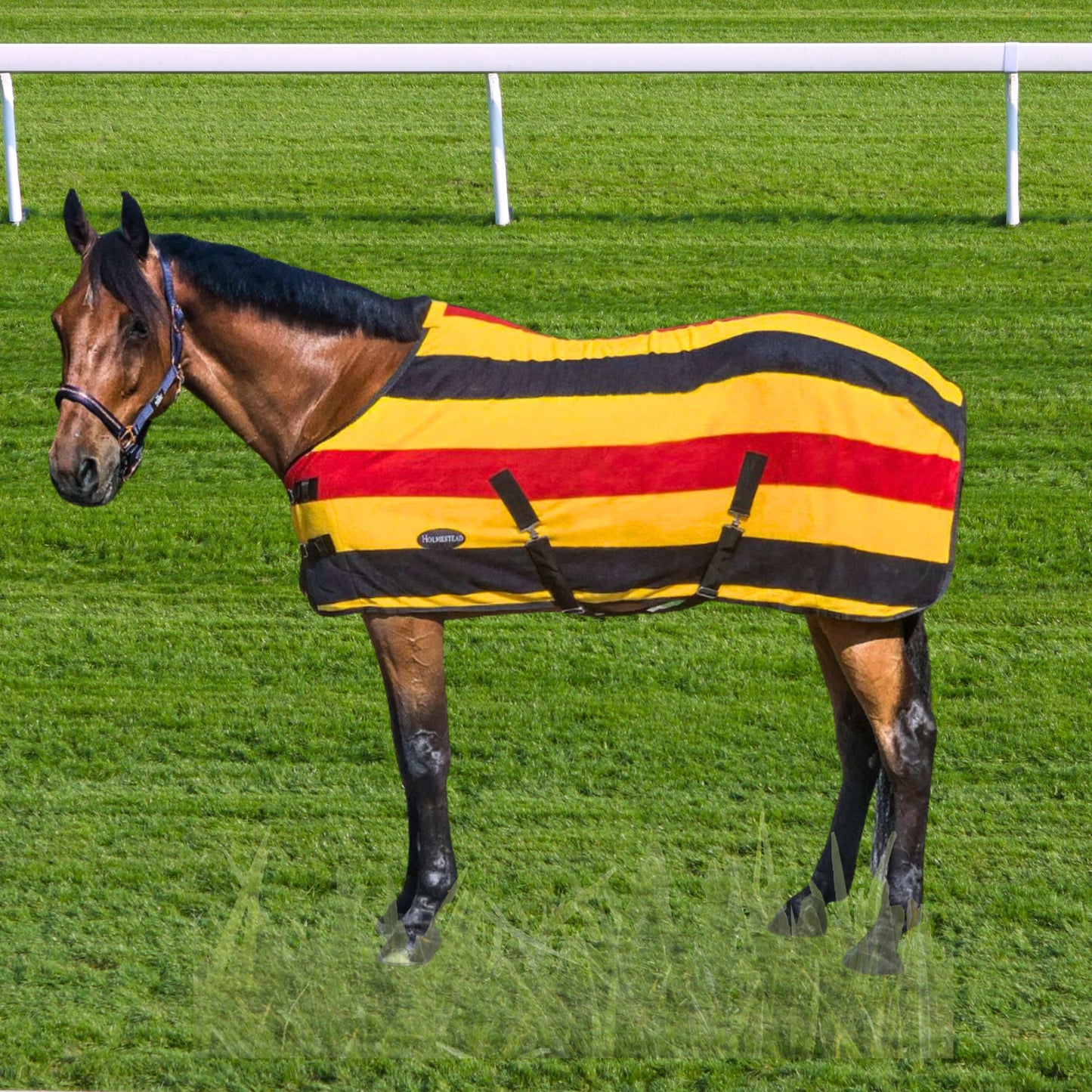 Holmestead Newmarket Standard Neck Fleece Cooler