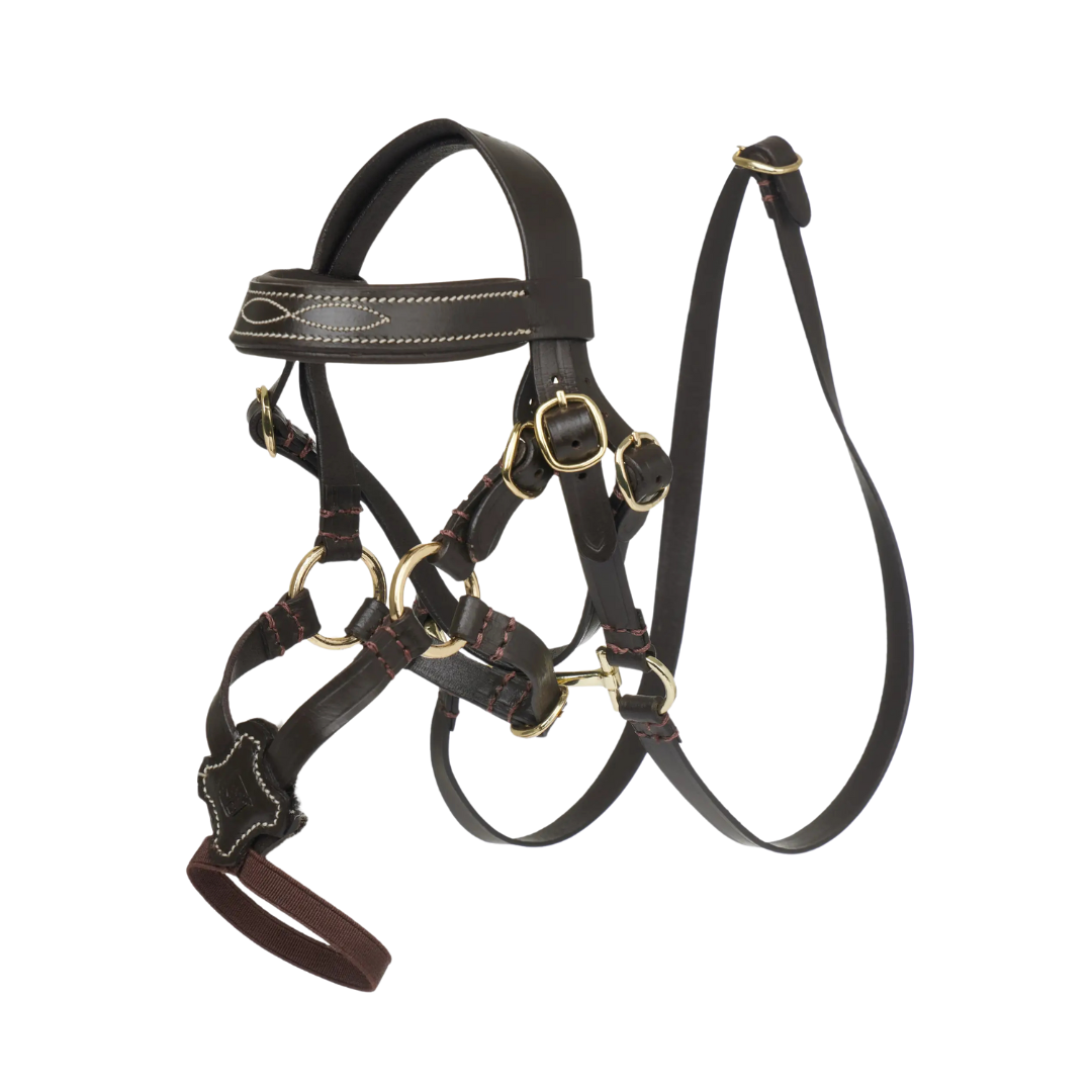 LeMieux Toy Pony Grackle Bridle