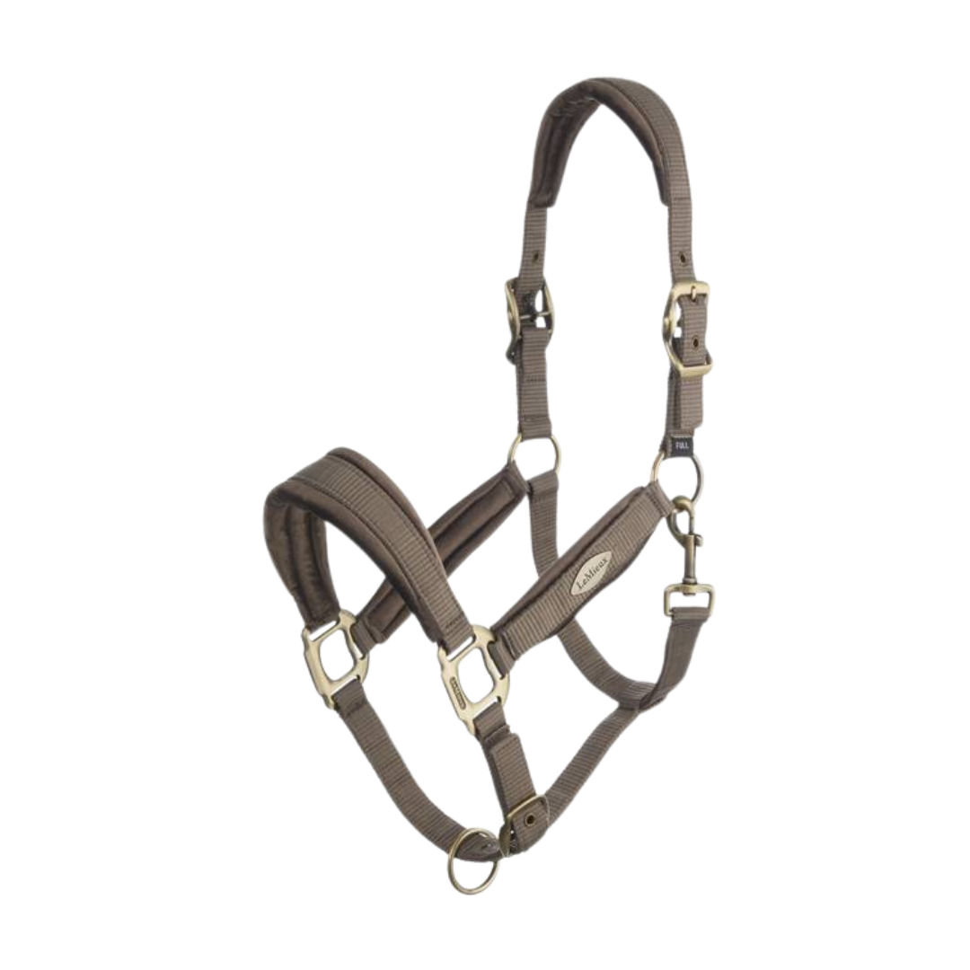 Lemieux Versailles Headcollar