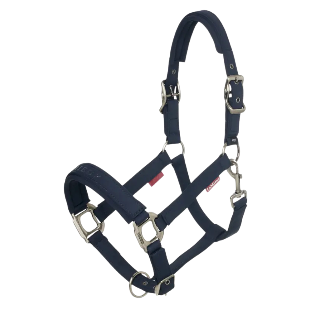 LeMieux Essence Headcollar SS25