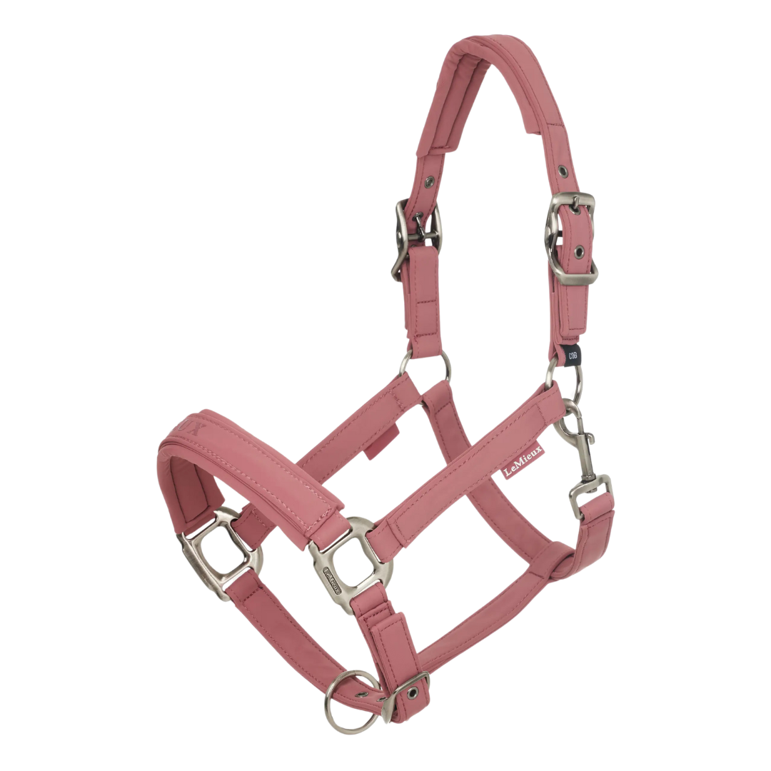 LeMieux Essence Headcollar SS25