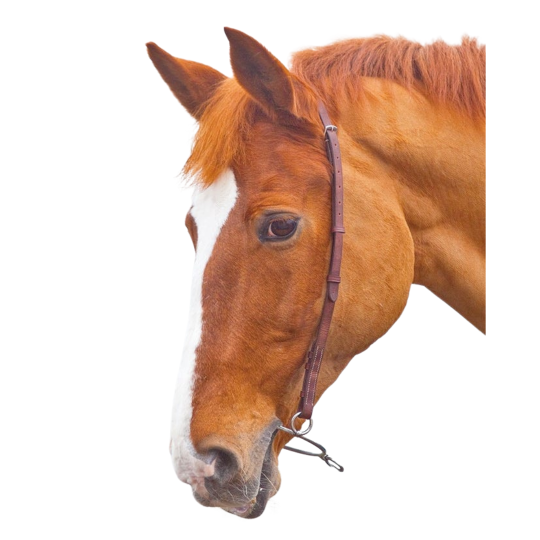 Shires Velociti GARA Chifney Bit Strap