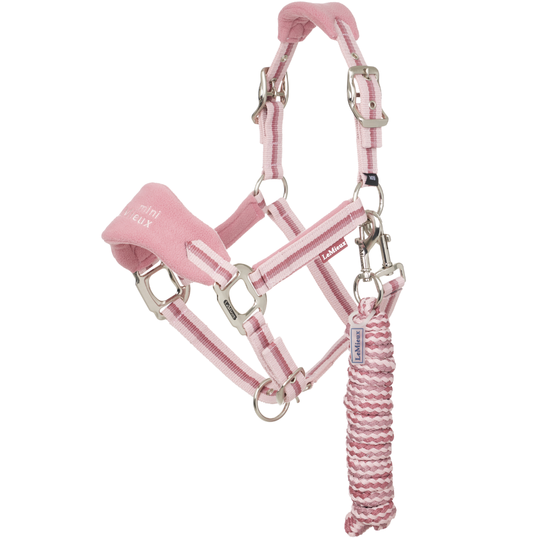 SS25 Lemieux Mini Vogue Headcollar & Leadrope