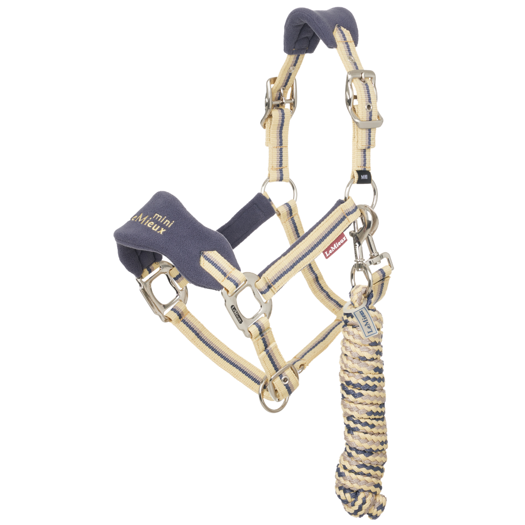 SS25 Lemieux Mini Vogue Headcollar & Leadrope