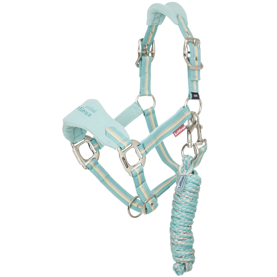 SS25 Lemieux Mini Vogue Headcollar & Leadrope