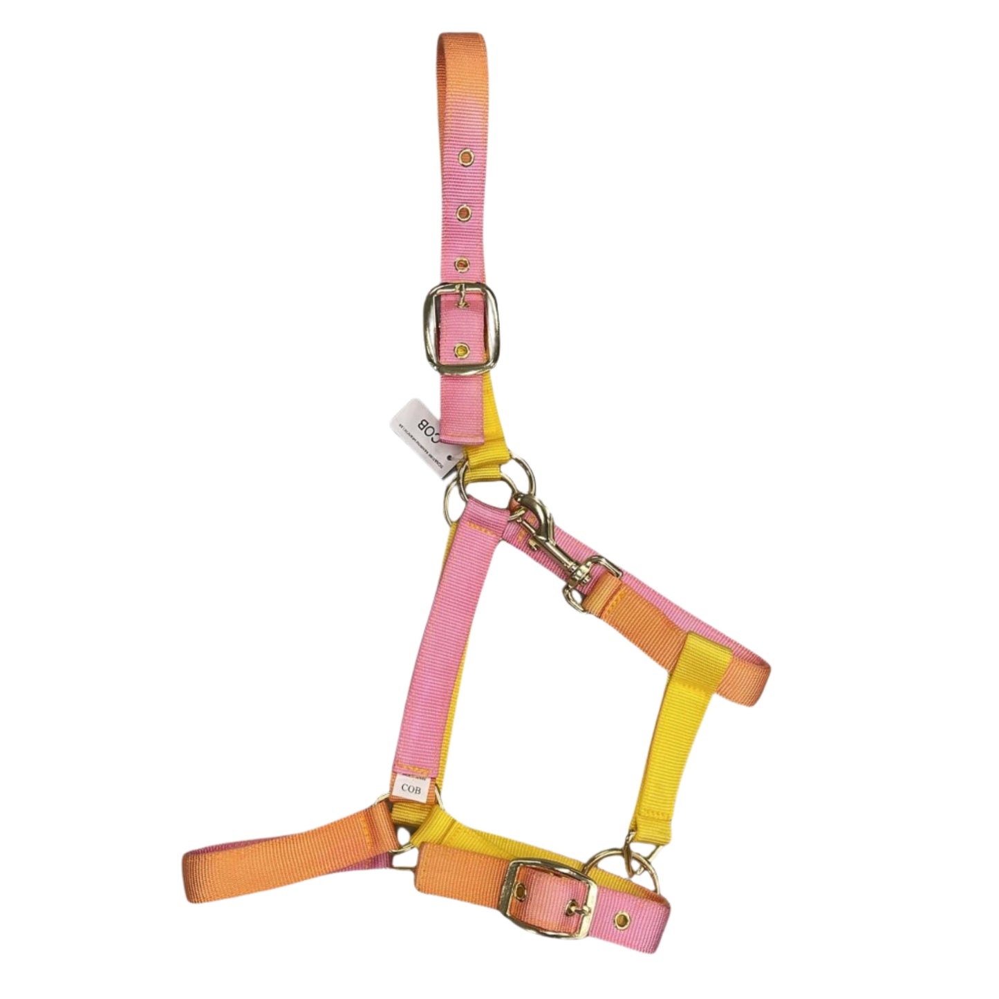 Holmestead Rainbow Headcollar
