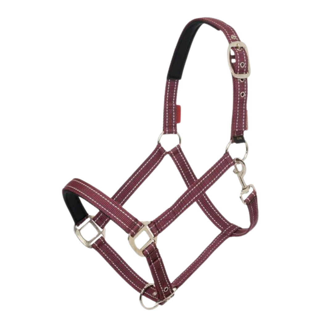 Lemieux Neoprene Yard Headcollar