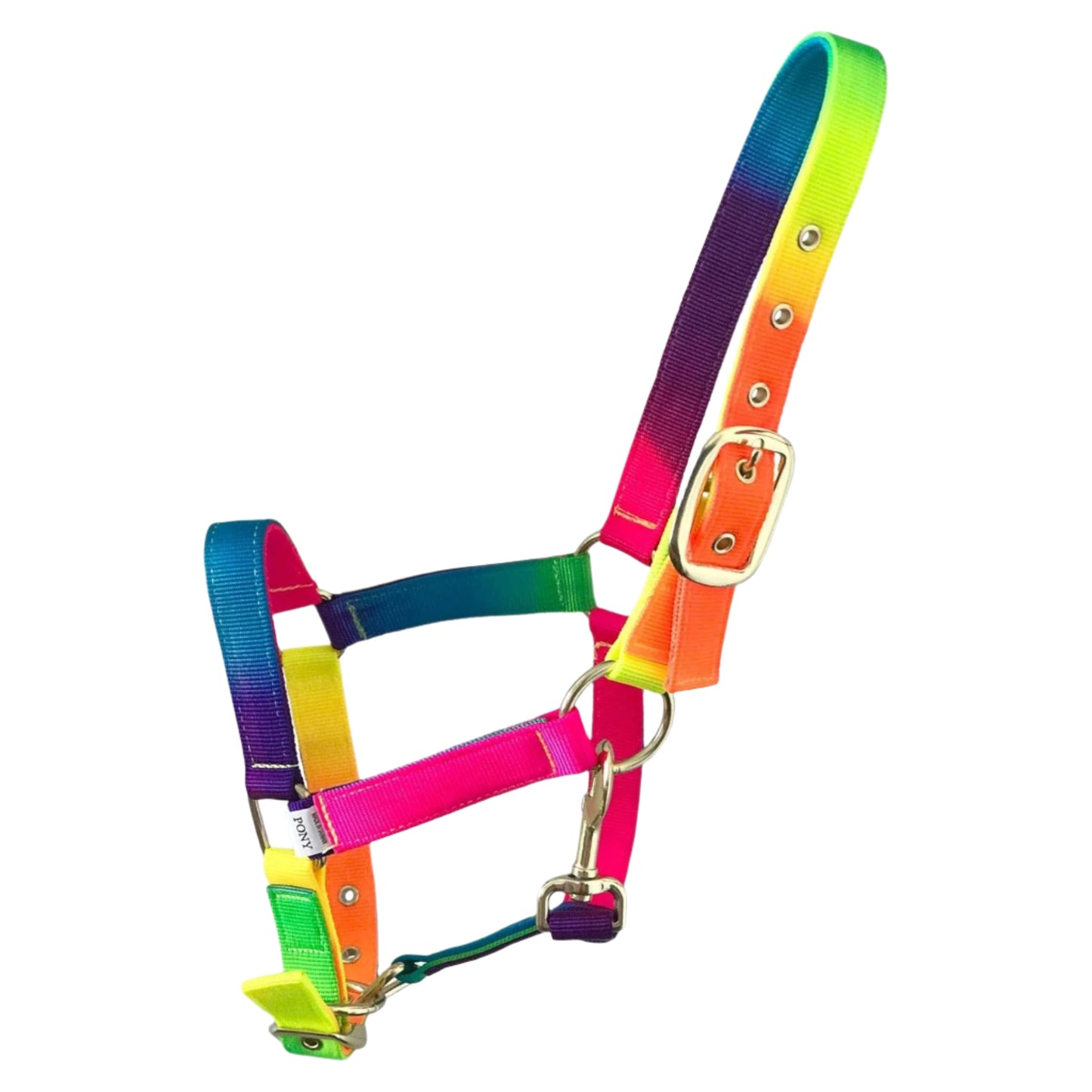 Holmestead Rainbow Headcollar