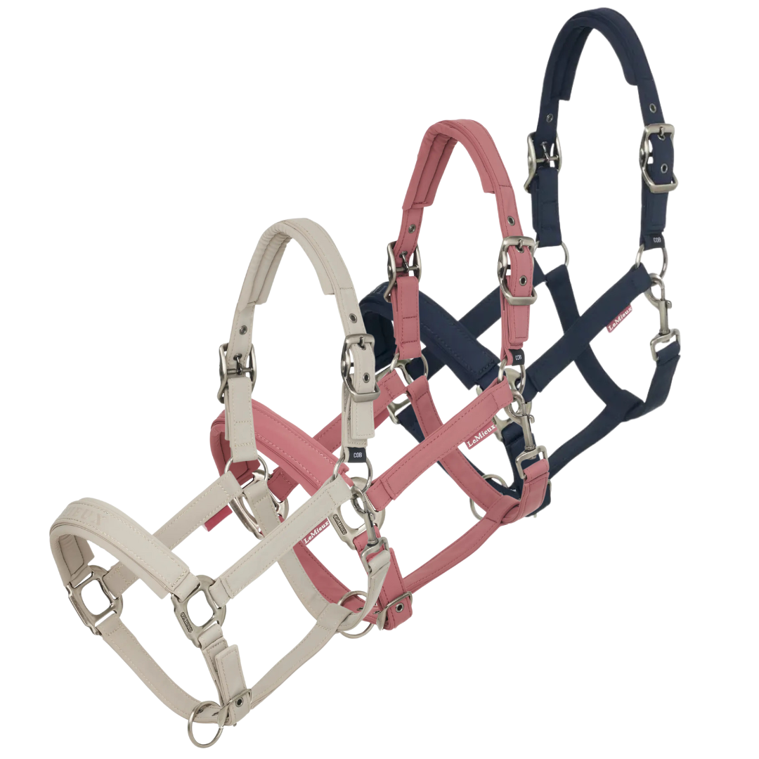 LeMieux Essence Headcollar SS25