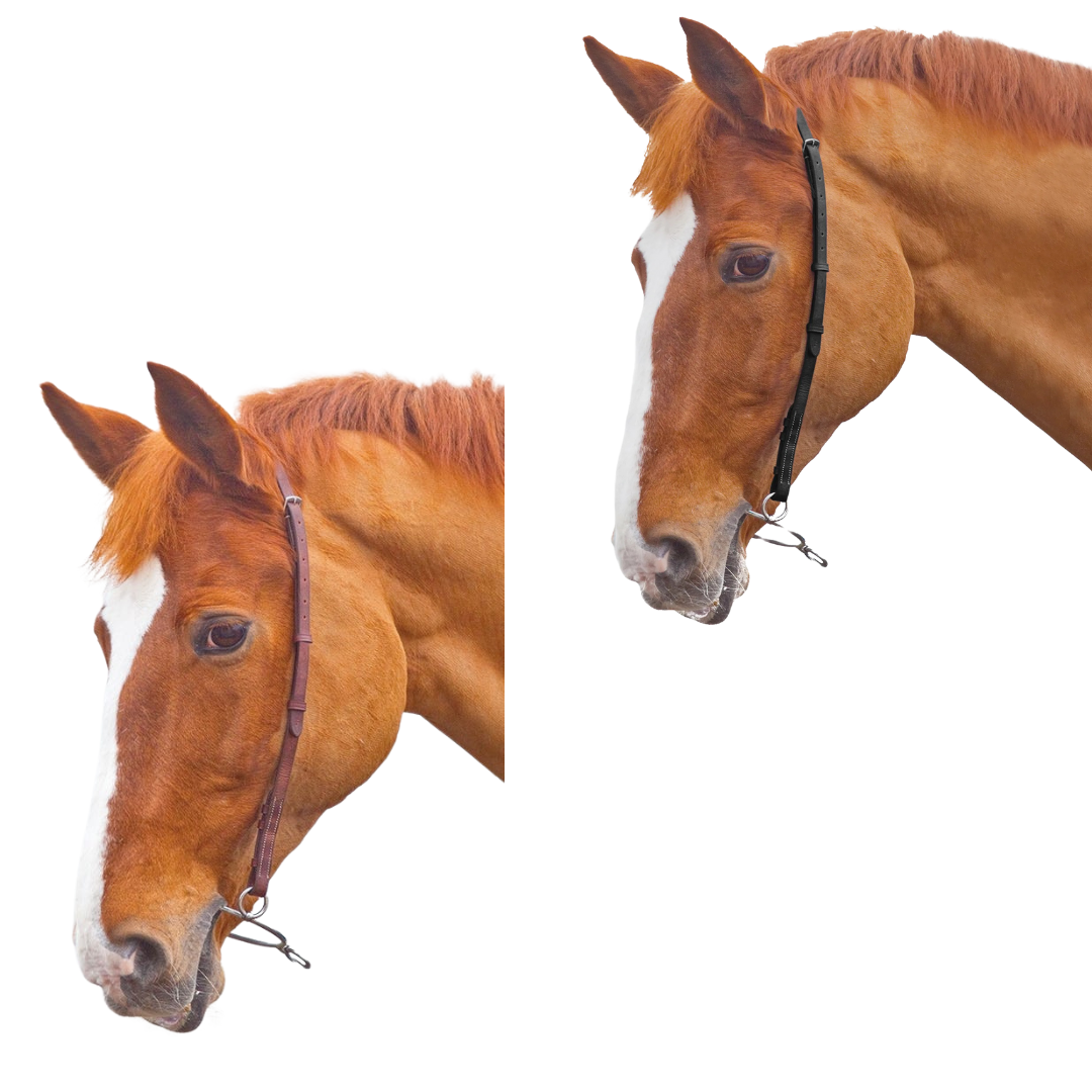 Shires Velociti GARA Chifney Bit Strap