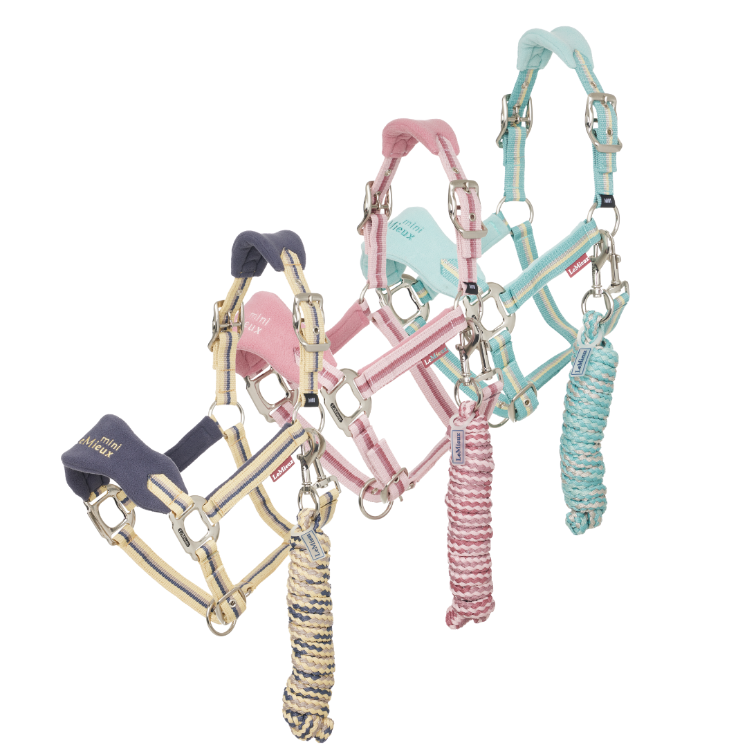 SS25 Lemieux Mini Vogue Headcollar & Leadrope