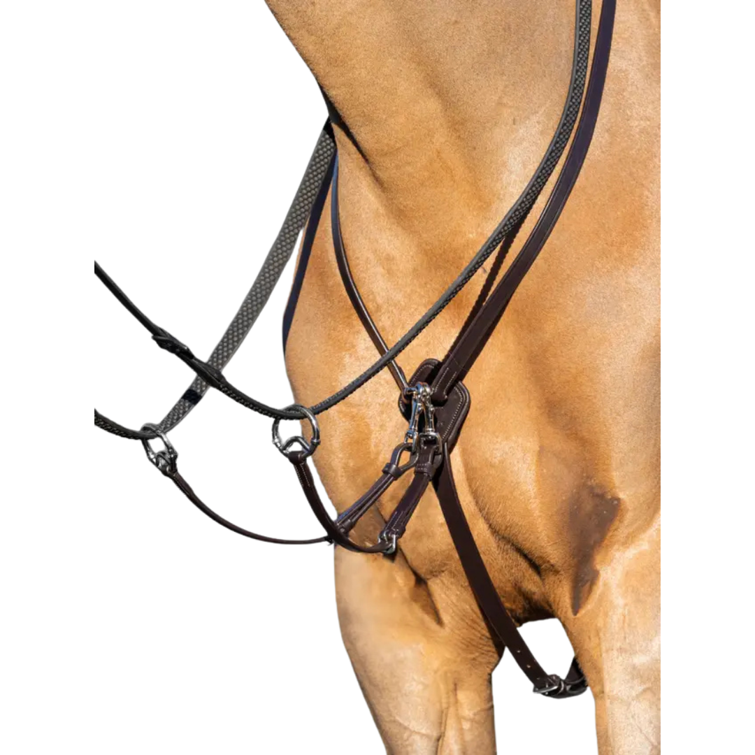 LeMieux Kudos Running Martingale