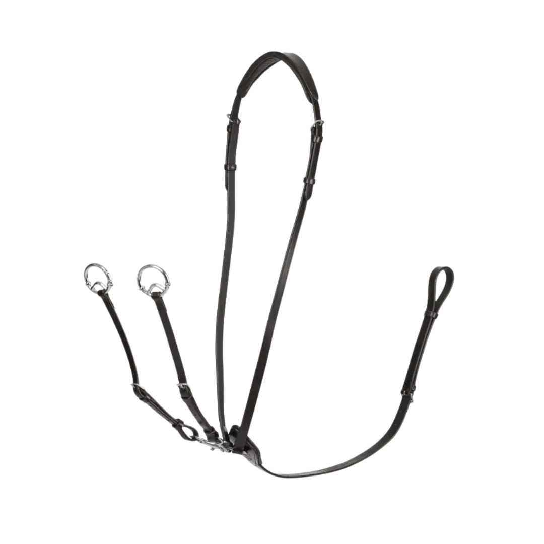 LeMieux Kudos Running Martingale
