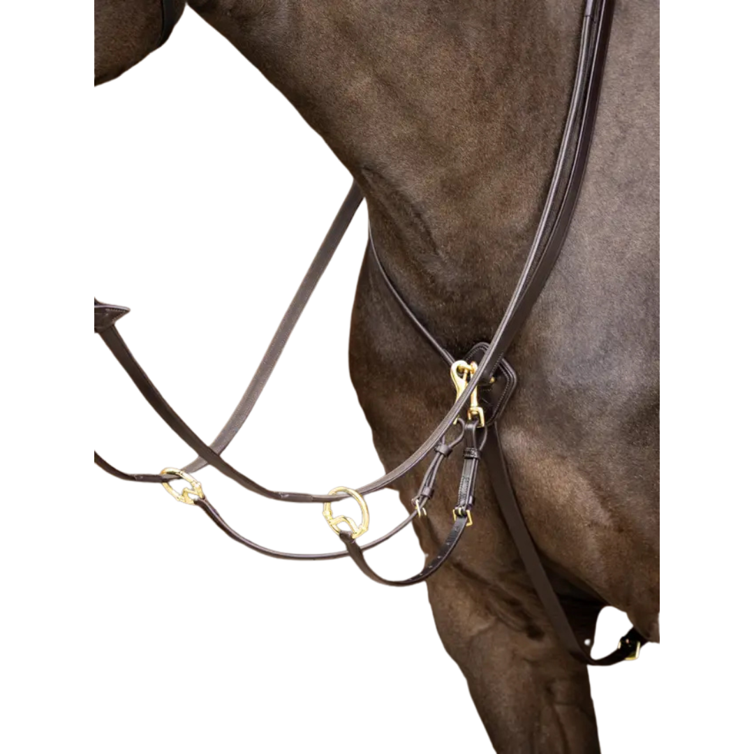 LeMieux Kudos Running Martingale