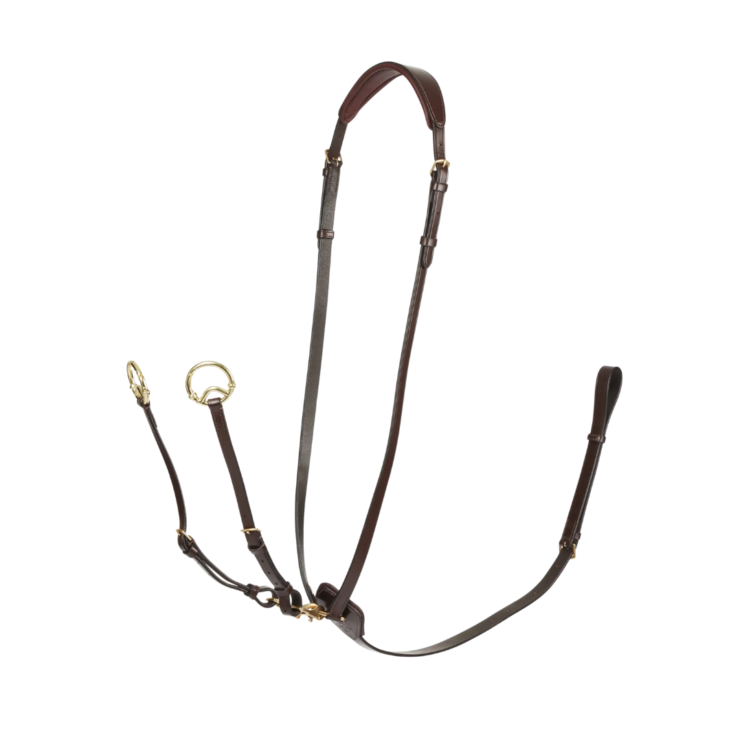 LeMieux Kudos Running Martingale