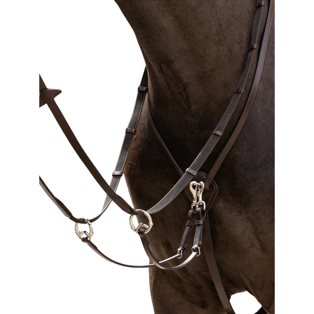 LeMieux Kudos Running Martingale