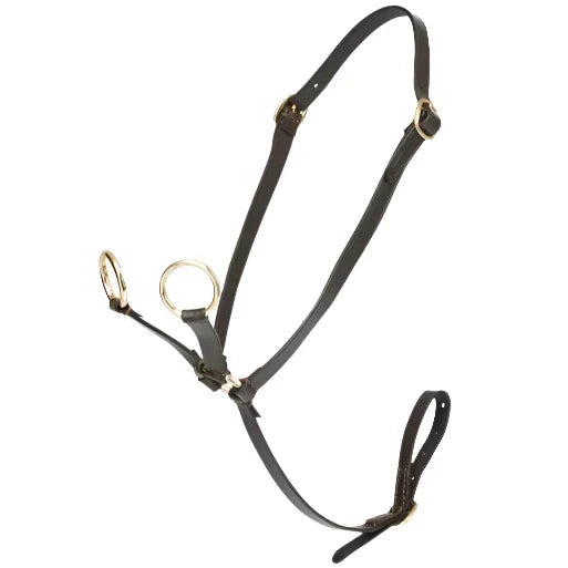 Lemieux Toy Pony Martingale