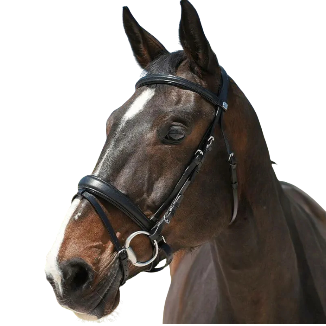 Stationata Soft Leather Snaffle Bridle-Crank Noseband