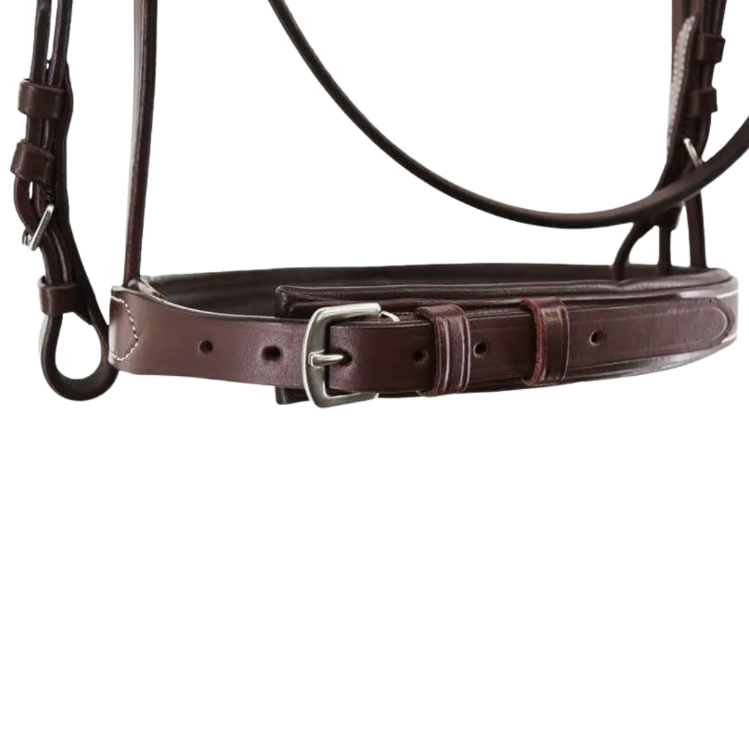 Stationata Fancy Bridle