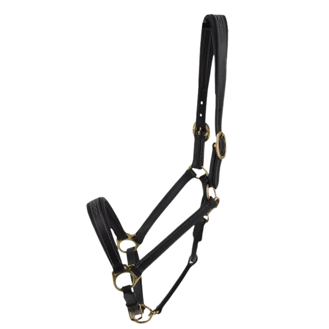Stationata Fashion Leather Headcollar