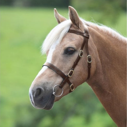 Shires Velociti GARA Plain In-Hand Bridle